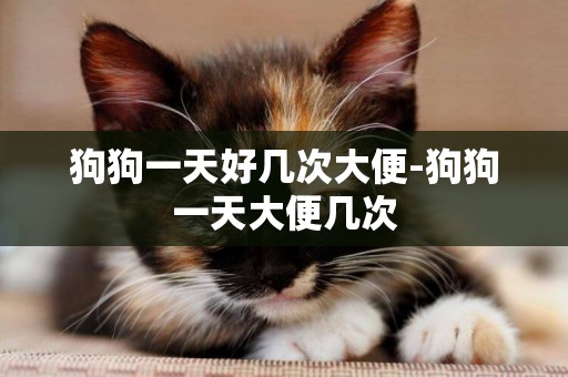 狗狗一天好幾次大便-狗狗一天大便幾次
