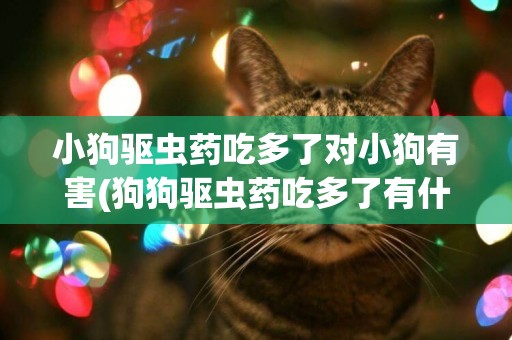 小狗驅蟲藥吃多了對小狗有害(狗狗驅蟲藥吃多了有什么副作用)