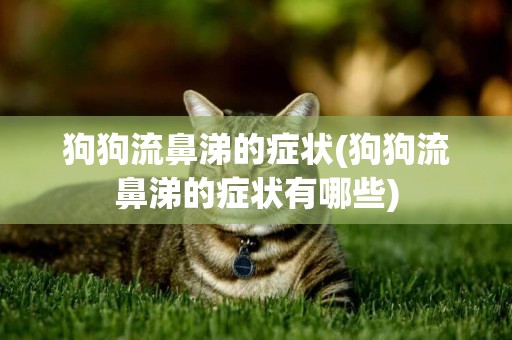 狗狗流鼻涕的癥狀(狗狗流鼻涕的癥狀有哪些)