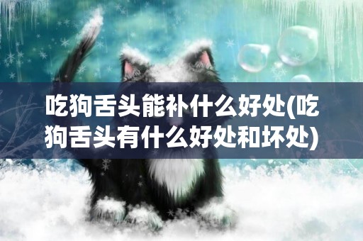 吃狗舌頭能補什么好處(吃狗舌頭有什么好處和壞處)