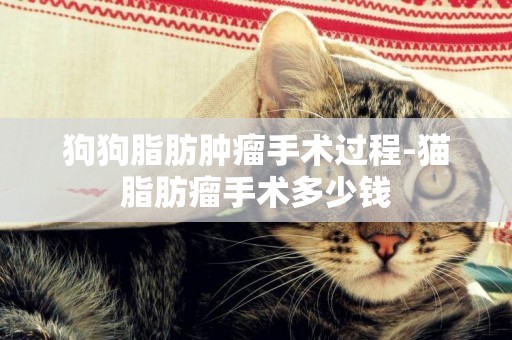 狗狗脂肪腫瘤手術過程-貓脂肪瘤手術多少錢