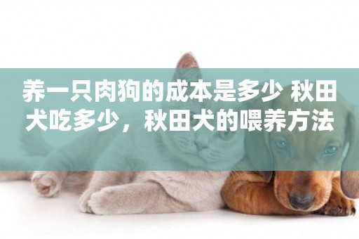 養一只肉狗的成本是多少 秋田犬吃多少，秋田犬的喂養方法 