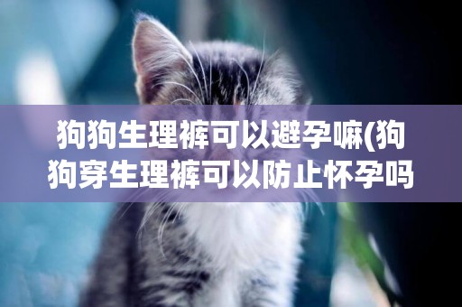 狗狗生理褲可以避孕嘛(狗狗穿生理褲可以防止懷孕嗎)