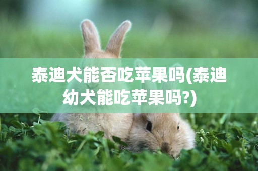 泰迪犬能否吃蘋果嗎(泰迪幼犬能吃蘋果嗎?)