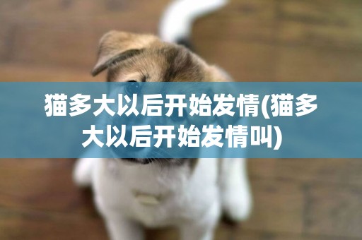 貓多大以后開始發情(貓多大以后開始發情叫)