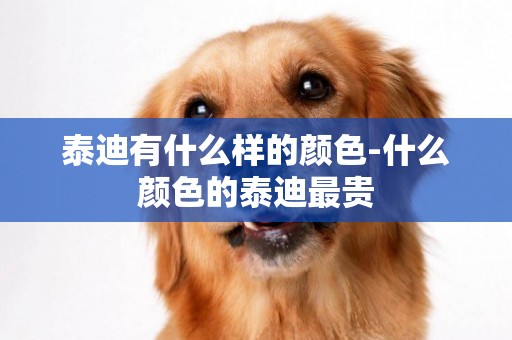 泰迪有什么樣的顏色-什么顏色的泰迪最貴