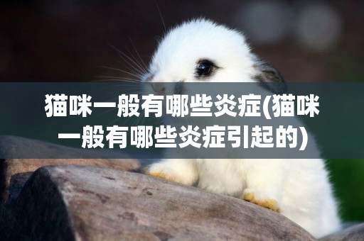 貓咪一般有哪些炎癥(貓咪一般有哪些炎癥引起的)