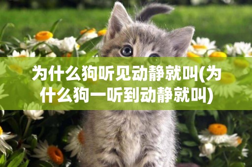 為什么狗聽見動靜就叫(為什么狗一聽到動靜就叫)