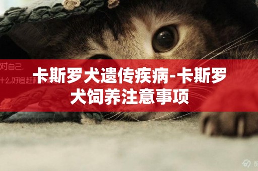 卡斯羅犬遺傳疾病-卡斯羅犬飼養注意事項