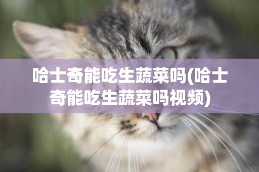 哈士奇能吃生蔬菜嗎(哈士奇能吃生蔬菜嗎視頻)