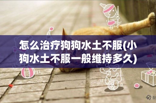 怎么治療狗狗水土不服(小狗水土不服一般維持多久)