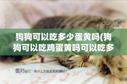 狗狗可以吃多少蛋黃嗎(狗狗可以吃雞蛋黃嗎可以吃多少)