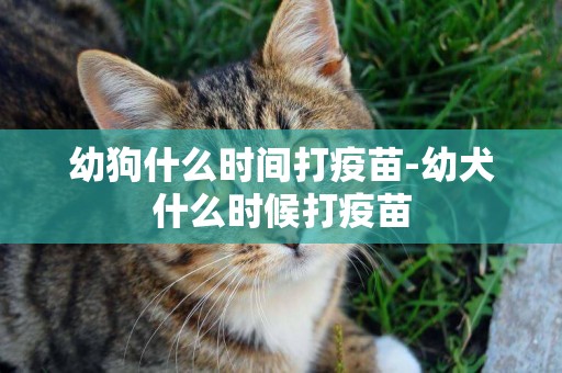 幼狗什么時間打疫苗-幼犬什么時候打疫苗