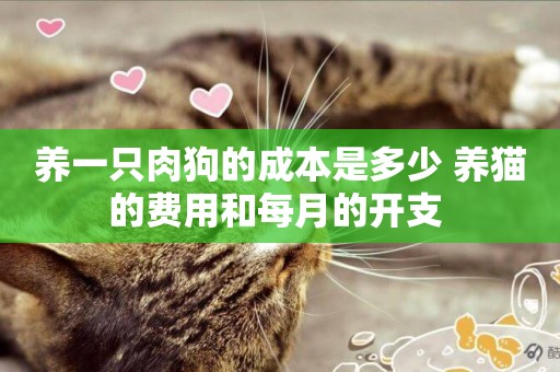 養一只肉狗的成本是多少 養貓的費用和每月的開支 