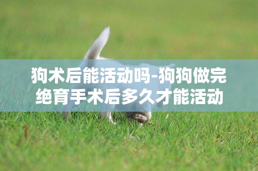 狗術后能活動嗎-狗狗做完絕育手術后多久才能活動