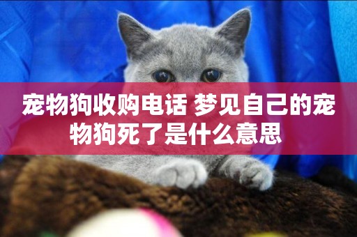 寵物狗收購電話 夢見自己的寵物狗死了是什么意思 