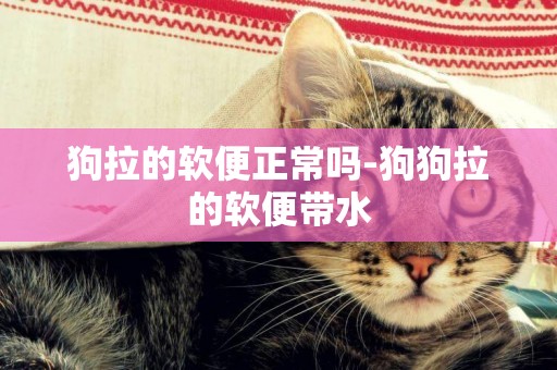 狗拉的軟便正常嗎-狗狗拉的軟便帶水