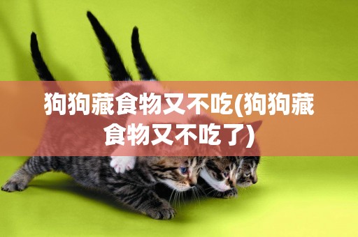 狗狗藏食物又不吃(狗狗藏食物又不吃了)