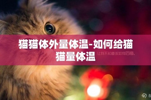 貓貓體外量體溫-如何給貓貓量體溫