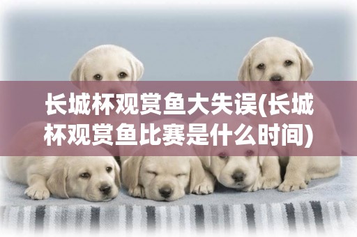 長城杯觀賞魚大失誤(長城杯觀賞魚比賽是什么時間)