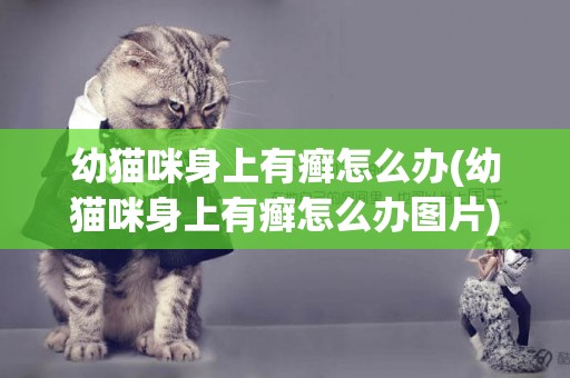 幼貓咪身上有癬怎么辦(幼貓咪身上有癬怎么辦圖片)