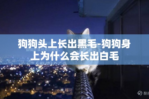 狗狗頭上長出黑毛-狗狗身上為什么會長出白毛