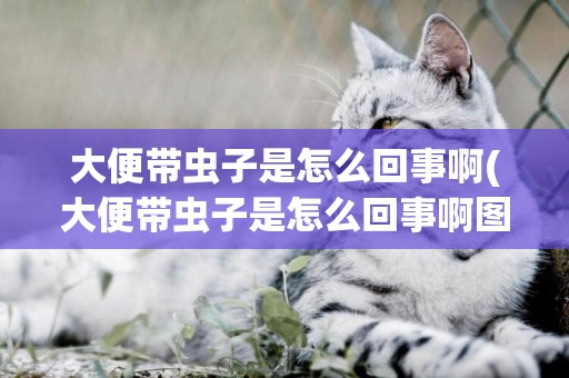 大便帶蟲子是怎么回事啊(大便帶蟲子是怎么回事啊圖片)