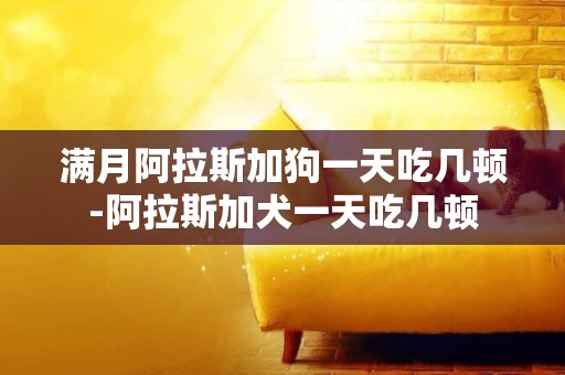 滿月阿拉斯加狗一天吃幾頓-阿拉斯加犬一天吃幾頓