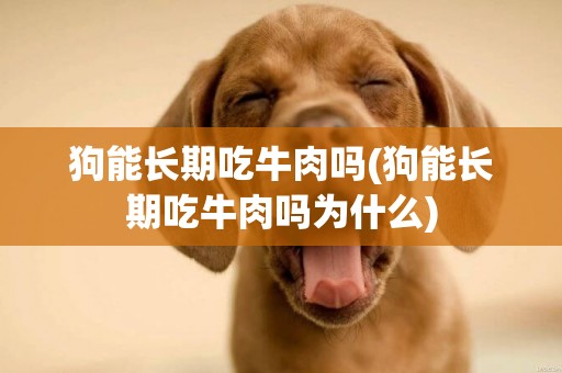 狗能長期吃牛肉嗎(狗能長期吃牛肉嗎為什么)
