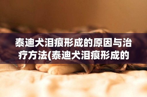 泰迪犬淚痕形成的原因與治療方法(泰迪犬淚痕形成的原因與治療方法視頻)