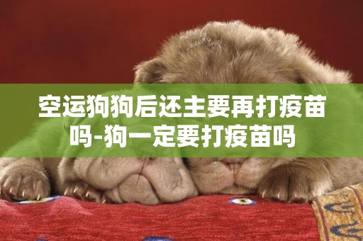 空運狗狗后還主要再打疫苗嗎-狗一定要打疫苗嗎