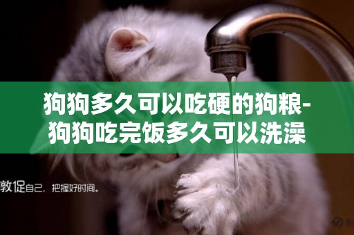狗狗多久可以吃硬的狗糧-狗狗吃完飯多久可以洗澡