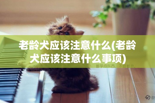 老齡犬應該注意什么(老齡犬應該注意什么事項)
