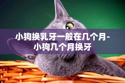 小狗換乳牙一般在幾個月-小狗幾個月換牙