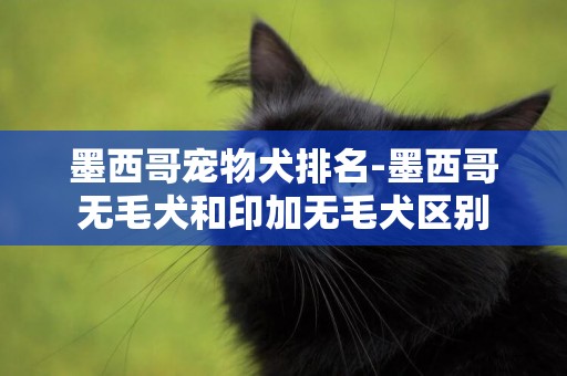 墨西哥寵物犬排名-墨西哥無毛犬和印加無毛犬區別