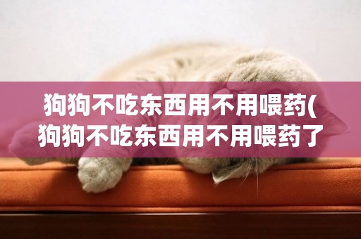 狗狗不吃東西用不用喂藥(狗狗不吃東西用不用喂藥了)