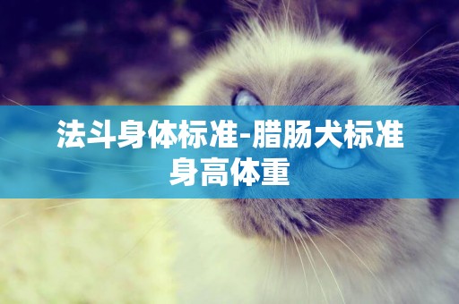 法斗身體標準-臘腸犬標準身高體重