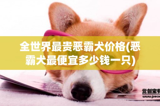 全世界最貴惡霸犬價格(惡霸犬最便宜多少錢一只)