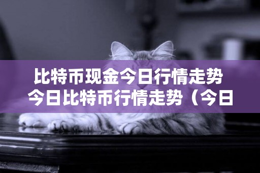 比特幣現金今日行情走勢 今日比特幣行情走勢（今日比特幣行情走勢） 