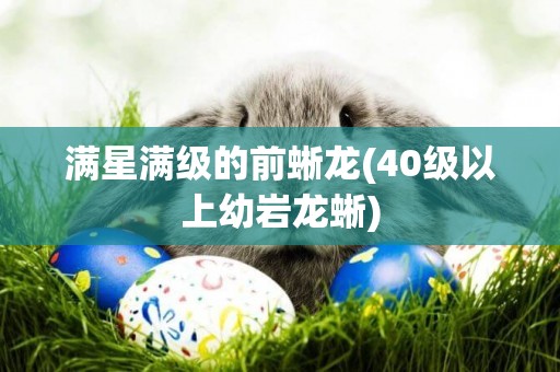 滿星滿級的前蜥龍(40級以上幼巖龍蜥)