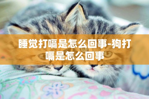 睡覺打嗝是怎么回事-狗打嗝是怎么回事