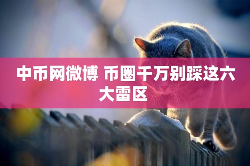 中幣網微博 幣圈千萬別踩這六大雷區 