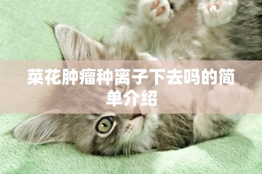 菜花腫瘤種離子下去嗎的簡單介紹