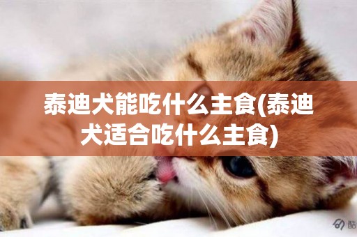 泰迪犬能吃什么主食(泰迪犬適合吃什么主食)