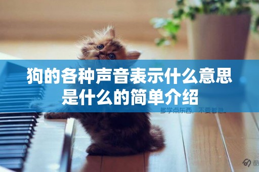 狗的各種聲音表示什么意思是什么的簡單介紹