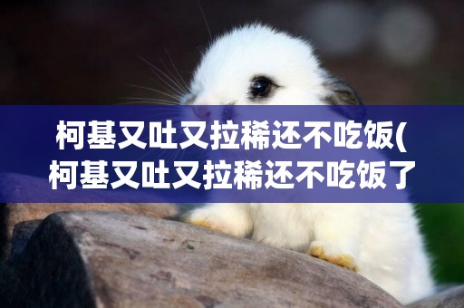 柯基又吐又拉稀還不吃飯(柯基又吐又拉稀還不吃飯了)