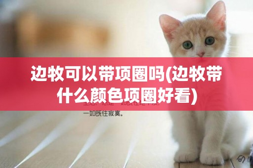 邊牧可以帶項圈嗎(邊牧帶什么顏色項圈好看)