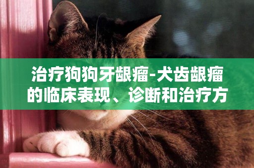 治療狗狗牙齦瘤-犬齒齦瘤的臨床表現、診斷和治療方法