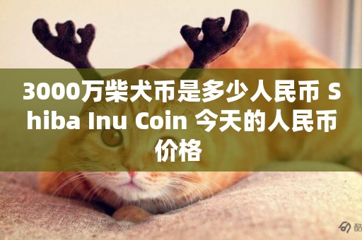 3000萬柴犬幣是多少人民幣 Shiba Inu Coin 今天的人民幣價格 