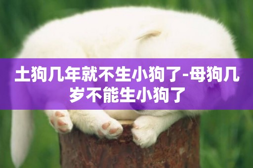 土狗幾年就不生小狗了-母狗幾歲不能生小狗了